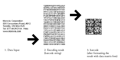 Barcode Creating Process