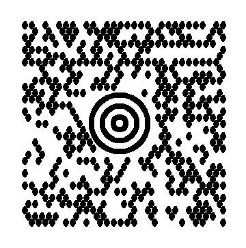 Example MaxiCode Barcode